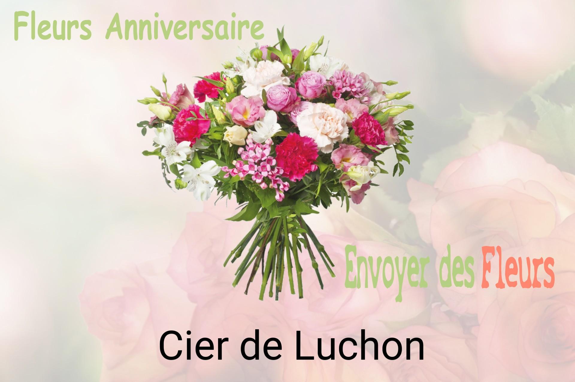 Bouquet de fleurs d’anniversaire livré à Cier-de-Luchon