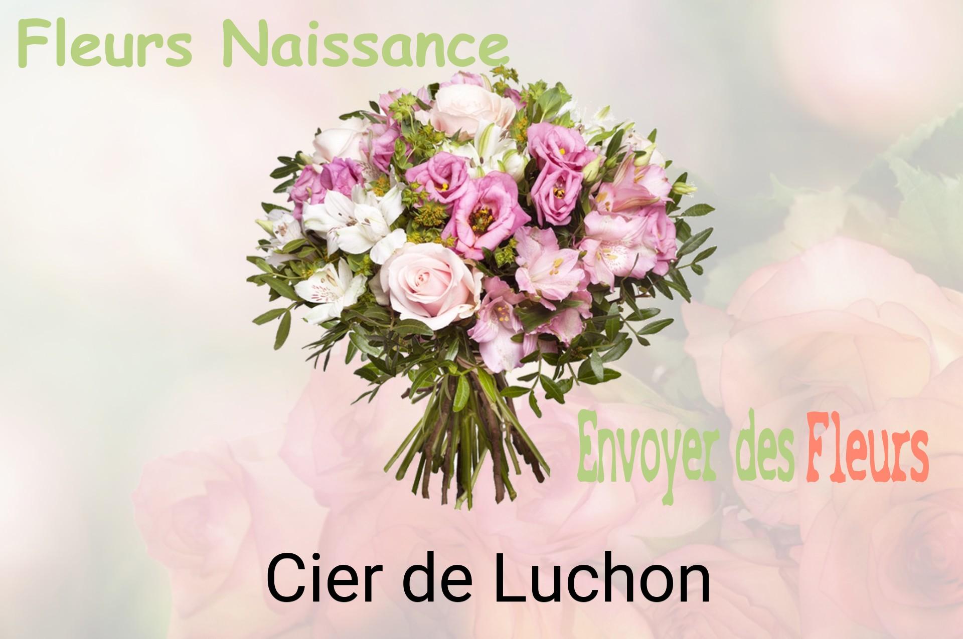 Bouquet de fleurs de naissance livré à Cier-de-Luchon