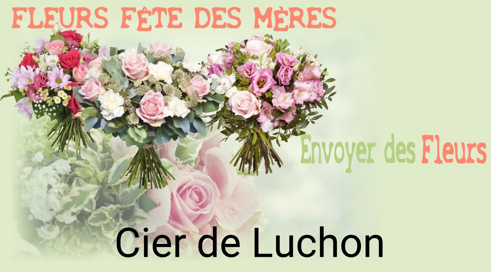 Bouquet de Fête des Mères livré à Cier-de-Luchon