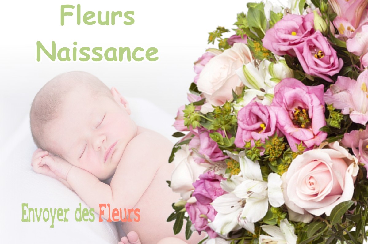 lIVRAISON FLEURS NAISSANCE à CIER-DE-LUCHON